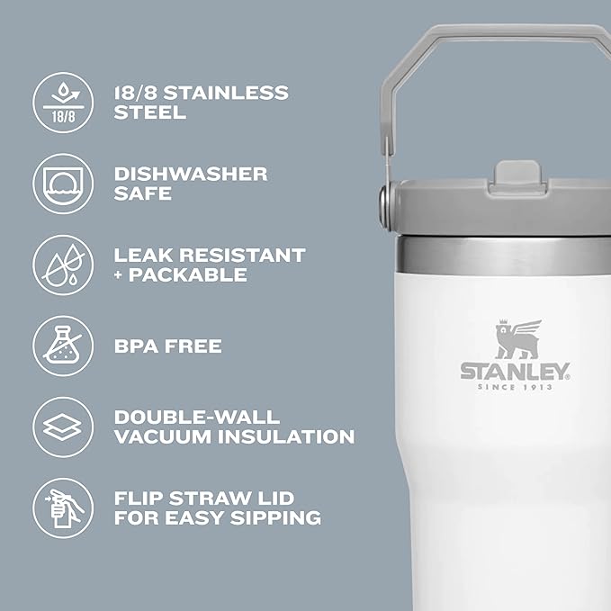 Stanley IceFlow 20 Oz Vacuum Insulated Tumbler with Straw – Leakproof, Reusable Cup for Home, Office, or Travel