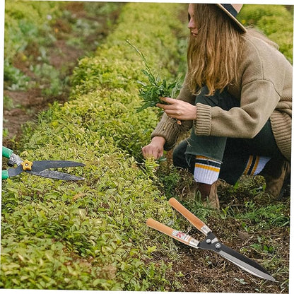 BMB Tools 10-Inch Tree Cutter & Hedge Shears: Precision Trimming with Carbon Steel Blades & Ergonomic Wooden Handle for Bushes